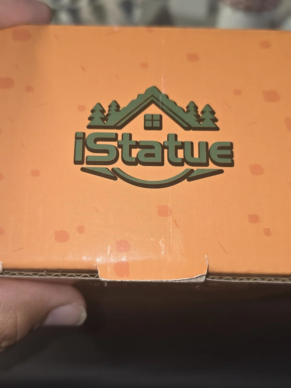 Green Turtle Habitat Figurine with Motivational Sign